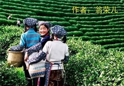 杭州-
新西湖十景の龍井問茶