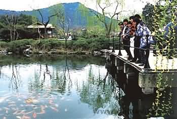 杭州-西湖十景の花港観魚