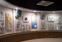 青島海産博物館
