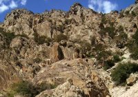賀蘭山岩画
