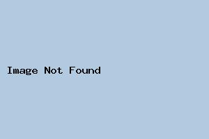普通スタンダード