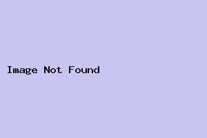斯道克斯吧