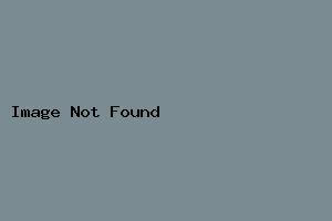 贵宾ビジネススタンダード(ビジネススタンダード)+_vt