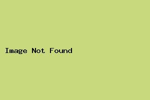 行政ビジネススイート