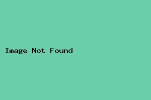 チェスルーム
