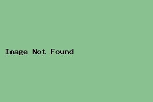 東極極地賓館-舟山