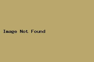 スタンダード房
