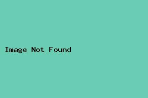 桃源人家旅游大酒店-天柱山