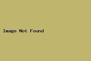 精品スタンダード