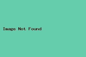 ツイン