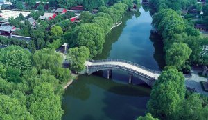 灞陵橋