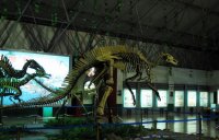 西峡恐竜化石遺跡園