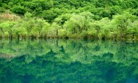 九寨溝きゅうさいこう(老虎海) 九寨溝きゅうさいこう(老虎海)
