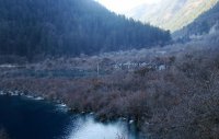 九寨溝きゅうさいこう(盆景灘)