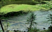 九寨溝きゅうさいこう(芳草海) 九寨溝きゅうさいこう(芳草海)