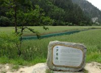 九寨溝きゅうさいこう(芦葦海) 九寨溝きゅうさいこう(芦葦海)