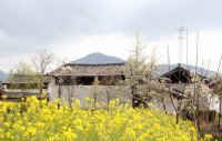 拉市海