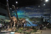 伊春恐竜博物館