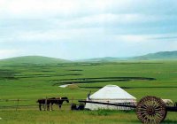 金帳汗モンゴル部落、草原