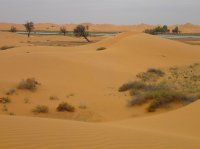 トングリ砂漠-撮影-旅情中国お客様-大谷和男様