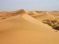 トングリ砂漠-撮影-旅情中国お客様-大谷和男様
