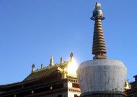 西寧発 タール寺・蔵文化博物院 日帰り観光 西寧発 タール寺・蔵文化博物院 日帰り観光