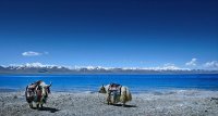 西寧発チベット仏教・建築・風情・高原聖湖のナムツォ4泊5日間